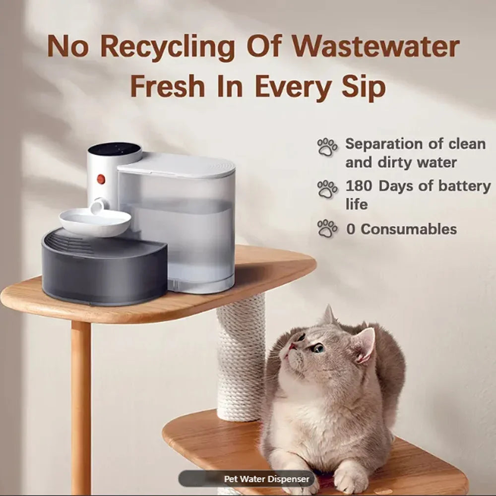 "Experience Worry-Free Hydration for Your Pet"